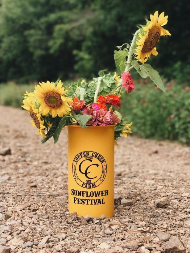 Sunflowers at Copper Creek Farm in Calhoun, Georgia