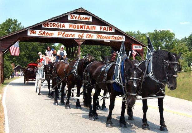 Horses at the gate of the Georgia Mountain Fair in Hiawassee, Georgia