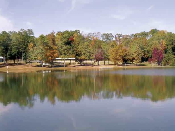 The Beach at International Park