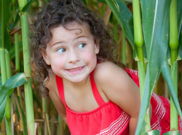 Child in corn maze at Jaemor Farms in Alto, Georgia