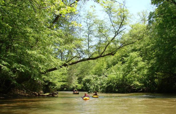 Kayaking on the Etowah River