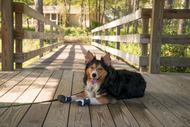 Laura S. Walker State Park in Waycross, Georgia