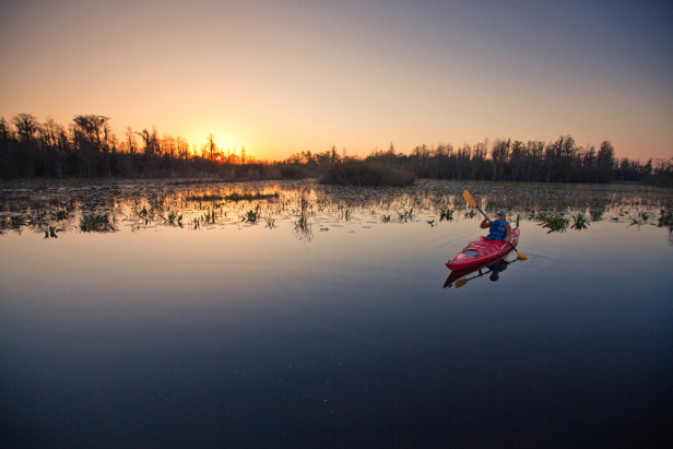 kayaking in the Okefenokee Swamp in Georgia