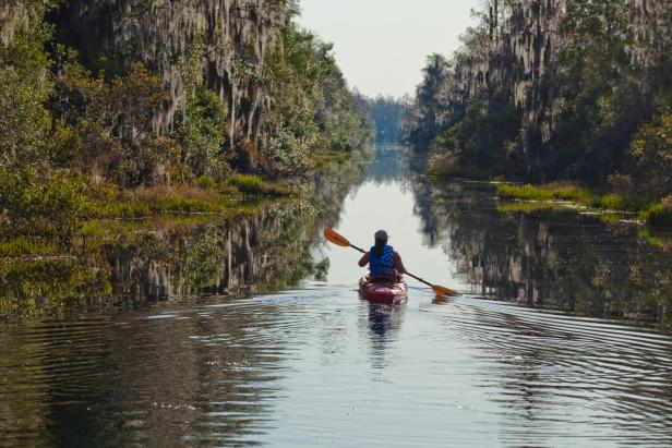 Okefenokee Swamp kayaking