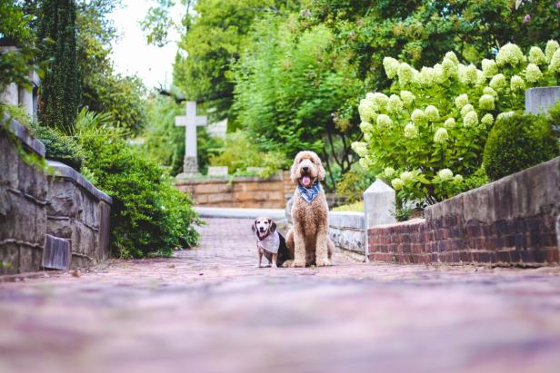 Oakland Cemetery in Atlanta