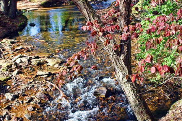 Meeks Park in Blairsville