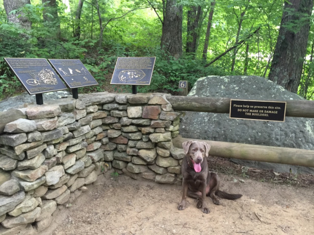 TrackRock Archaeological Area