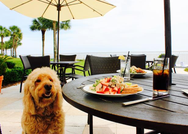 Echo at the King and Prince Resort