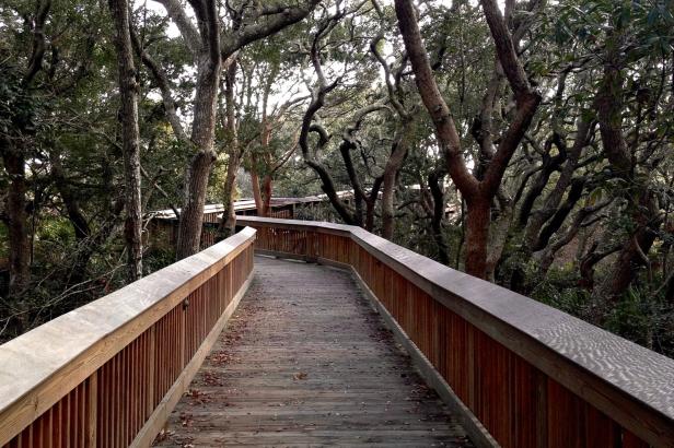 Golden Isles Nature Trails