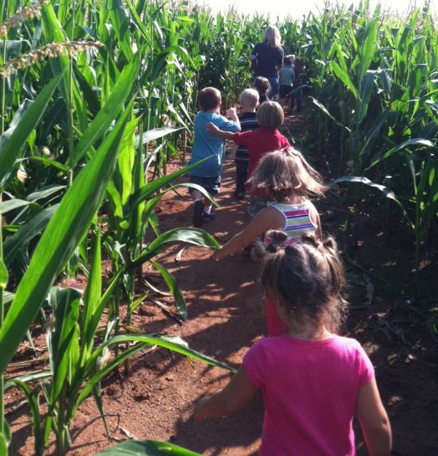 Children in corn maze at Southern Belle Farm in McDonough, Georgia