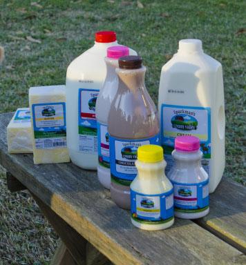 Milk, cream and butter from Sparkman's Cream Valley in Moultrie, Georgia