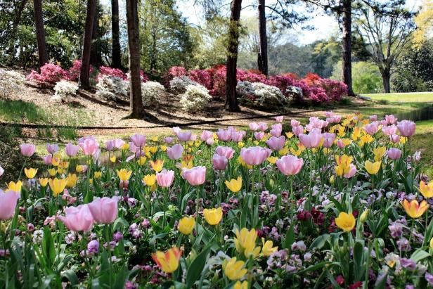 Spring at Callaway Resort & Gardens