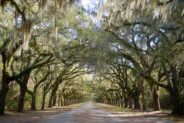 Wormsloe State Historic Site in Savannah