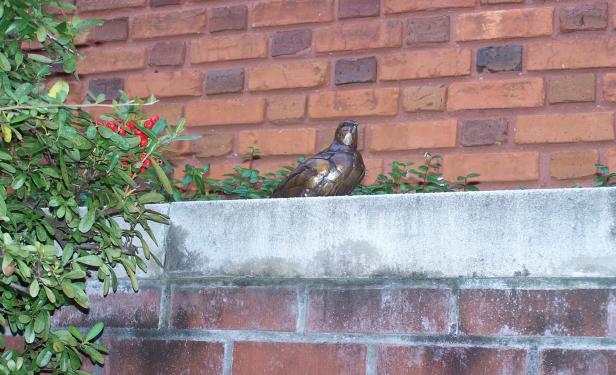 Bronze quail in downtown Thomasville, Georgia