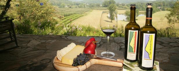 Wine and cheese at Tiger Mountain Vineyards in Tiger, Georgia