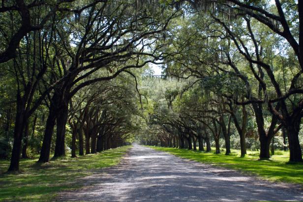 Wormsloe State Historic Site
