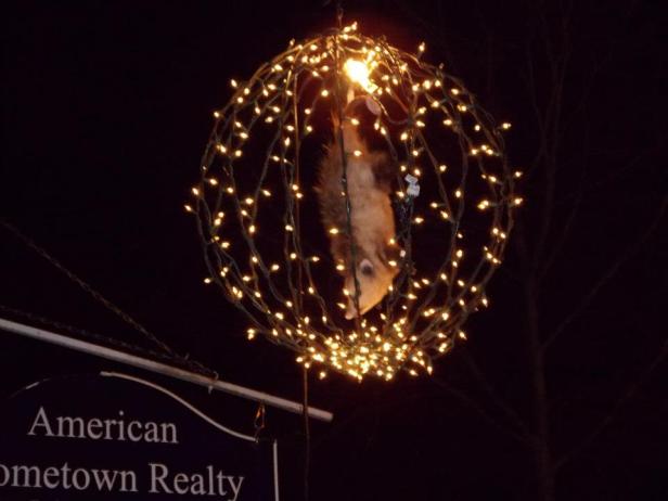 Possum drop in Tallapoosa, Georgia