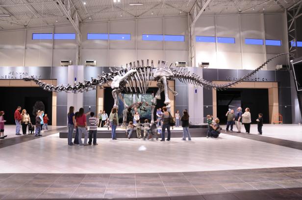Dinosaur fossils at Tellus Science Museum in Cartersville, Georgia