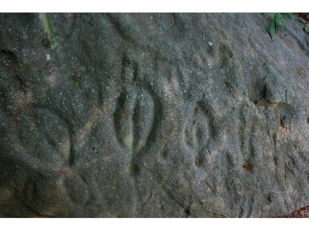 Petroglyphs at the Track Rock Gap Archeological Site in Blairsville, Georgia