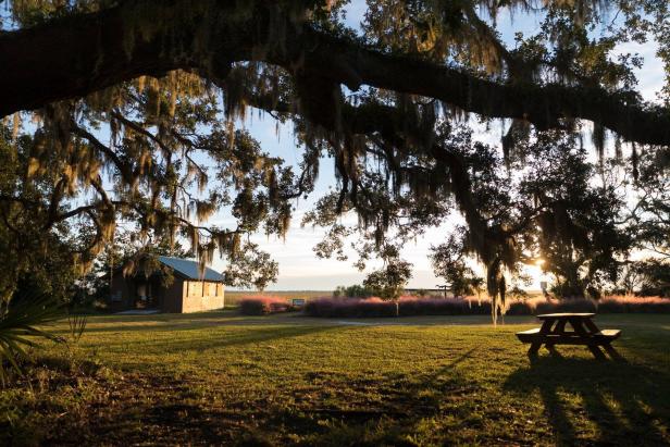 Cannon's Point Preserve on St. Simons Island, Georgia