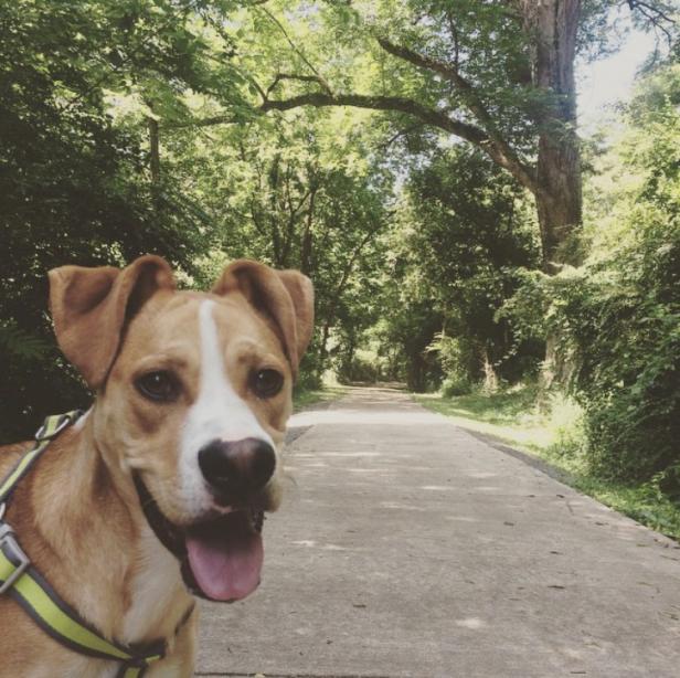 Oconee River Greenway