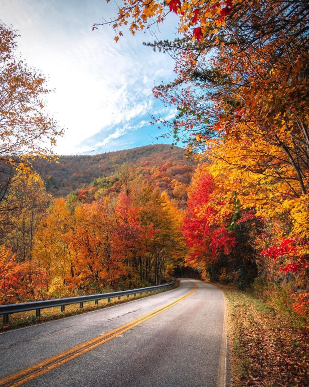 Road to Brasstown Bald surrounded by colorful fall foliage in Blairsville, Georgia