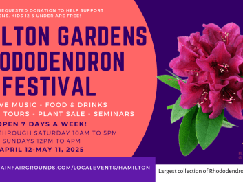 Hiawassee Events Explore Georgia