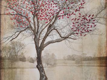 Myrtie Cope Photograph Embroidery