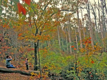 Birdwatching & hiking at FDR