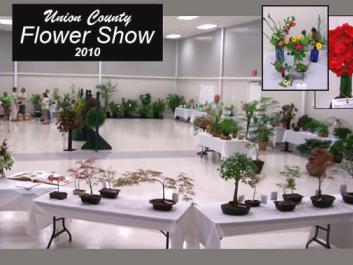 Blairsville Garden Club 2010
