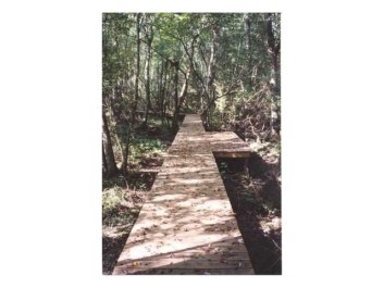 Walking trail inside park.