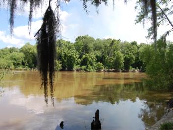 The Ocmulgee River borders the southern boundary of the WMA