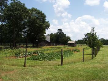The vegetable garden at the Jimmy Carter Boyhood Farm