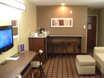Suite Guest Room