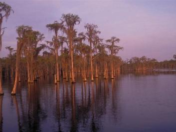 Banks Lake