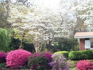 Spring at The Mountain Aire!