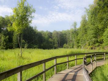 Views from our Boardwalk Trail