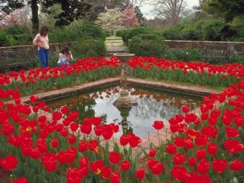 Oak Hill