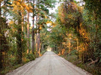 Dirt Road