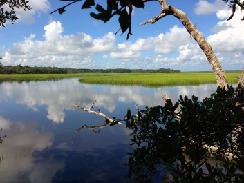 Marsh tour
