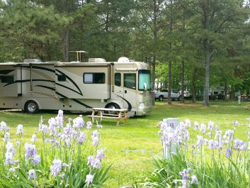 Plum Nelly RV Park