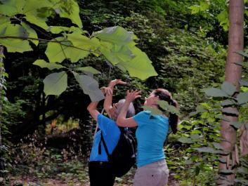 Forest Bathers being playful