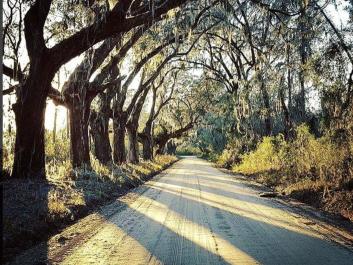 Cay Creek Road in Riceboro-Photo by Waylon McKinnon