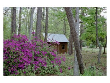 Scenery at Southern Gates RV Park & Campground