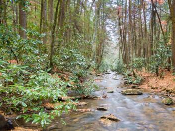 Trout stream in the Three Forks valley. Photo by atlantatrails.com