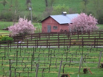 Bud Break with Crab Apples in bloom.