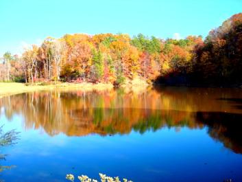 Forsyth Lake on the Campground
