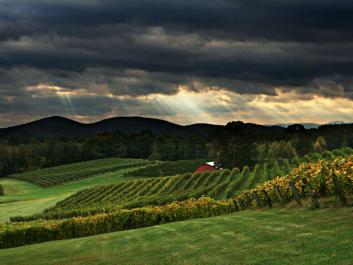 Dahlonega's First Family Farm Winery is Three Sisters Vineyards
