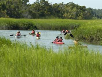 Take a kayak tour