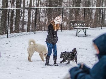 Snow Day at Club Canine